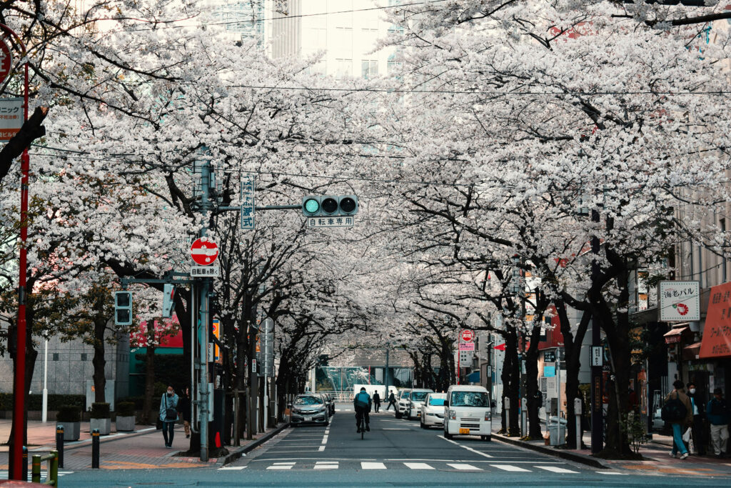 Tokyo's Artistic Palette: Museums to Street Murals